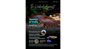 The-Weekend-Aquarist